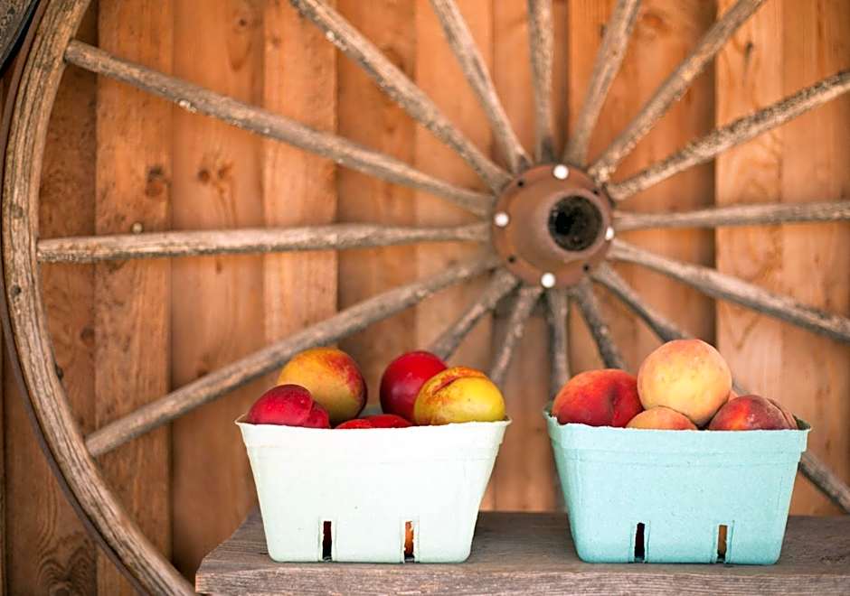 Holiday Inn Express Kelowna - East By IHG