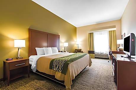 1 King Bed, Nonsmoking