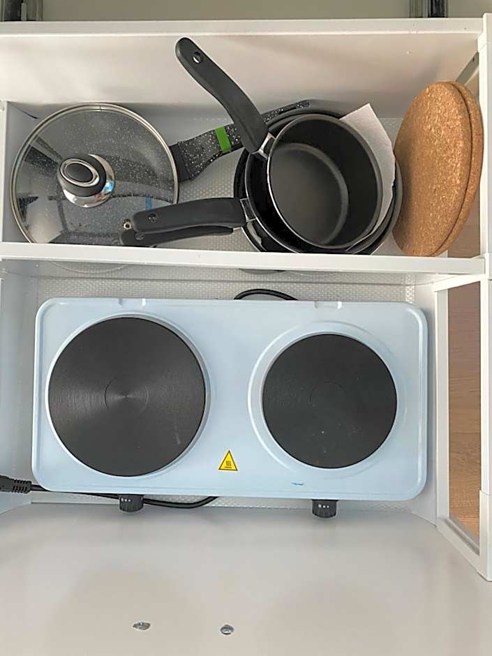 Green Gile Villa in Druskininkai Center