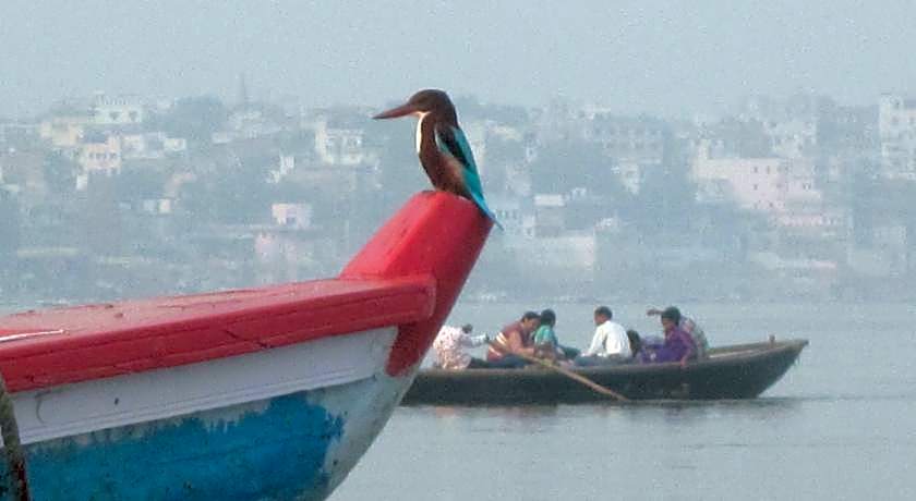 Khushi Paying Guest House