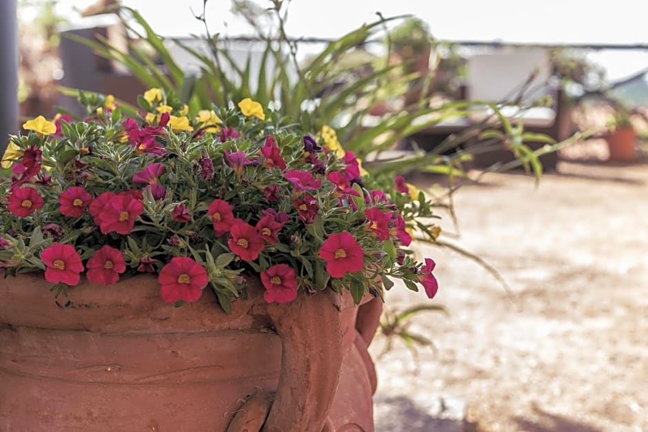 B&B Al Vecchio Forno