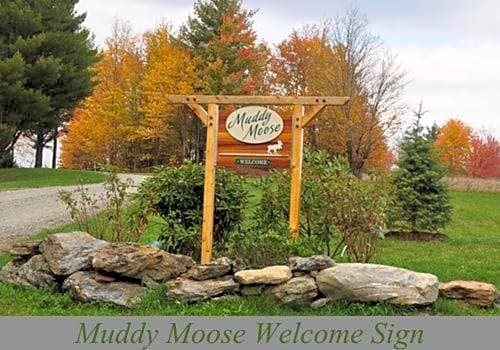 Muddy Moose