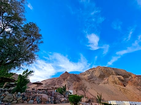 The Bedouin Moon