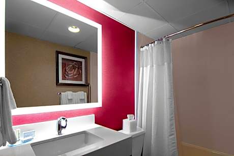 Suite, 1 Bedroom (1 King Bed and 1 Double Sofa Bed)