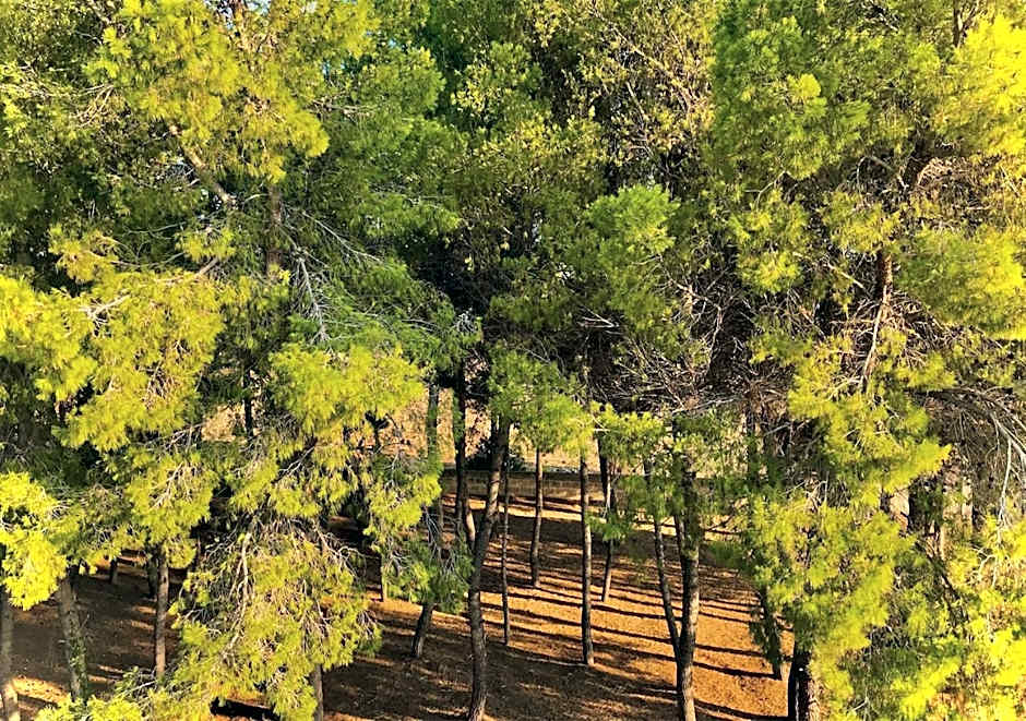 Antica Casina B&B di Charme