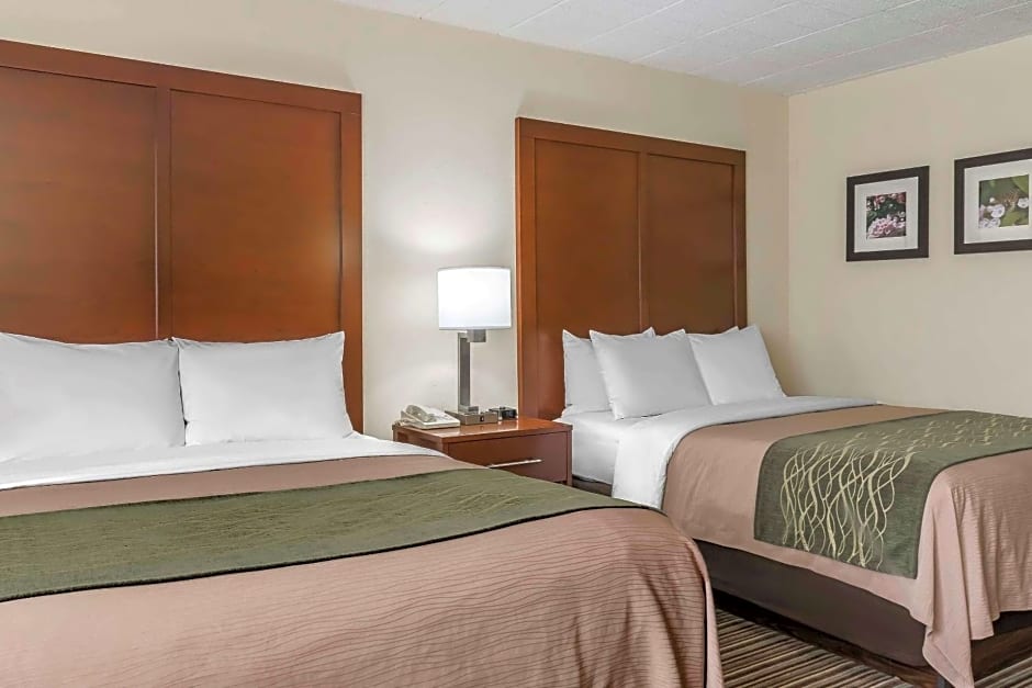 Comfort Inn - Pocono Mountain