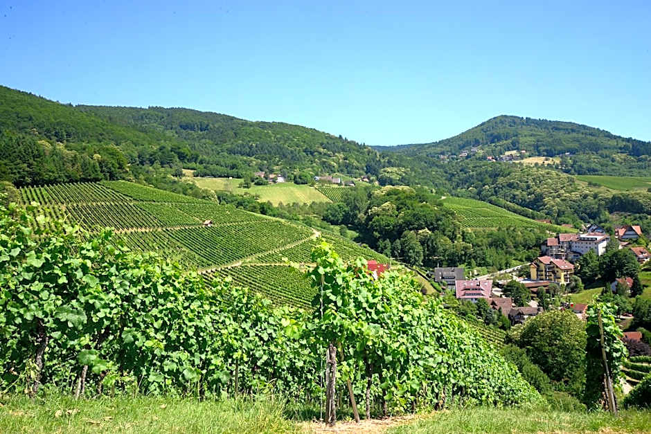 Residence am Weinberg / Travellers Hotelbetriebs GmbH