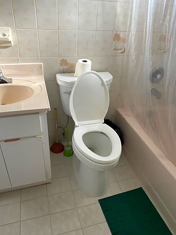 Single Size BOTTOM Bunk Bed - Mixed Shared ROOM