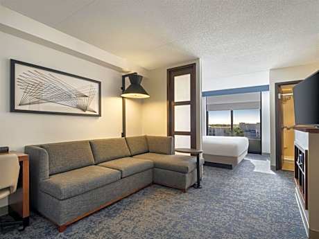 Specialty King Room with Sofa Bed