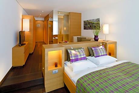 Panorama Double Room with Balcony and Mountain View