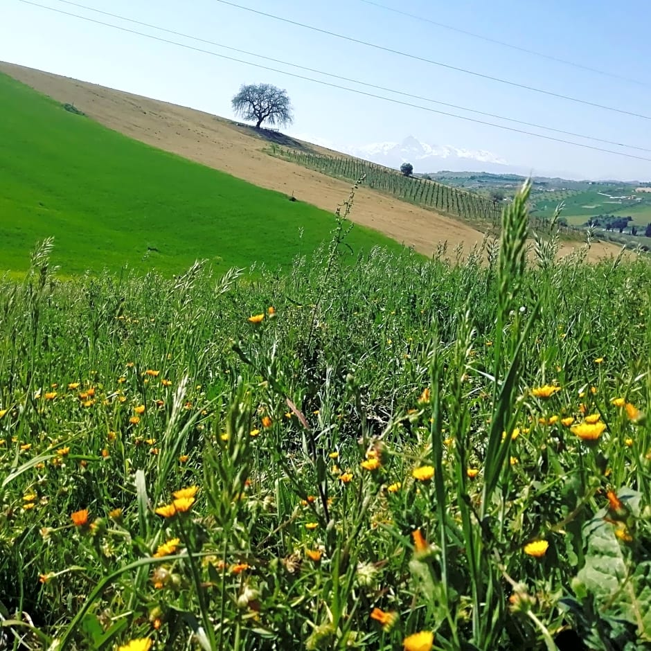 B&B Gli amici del tubarello