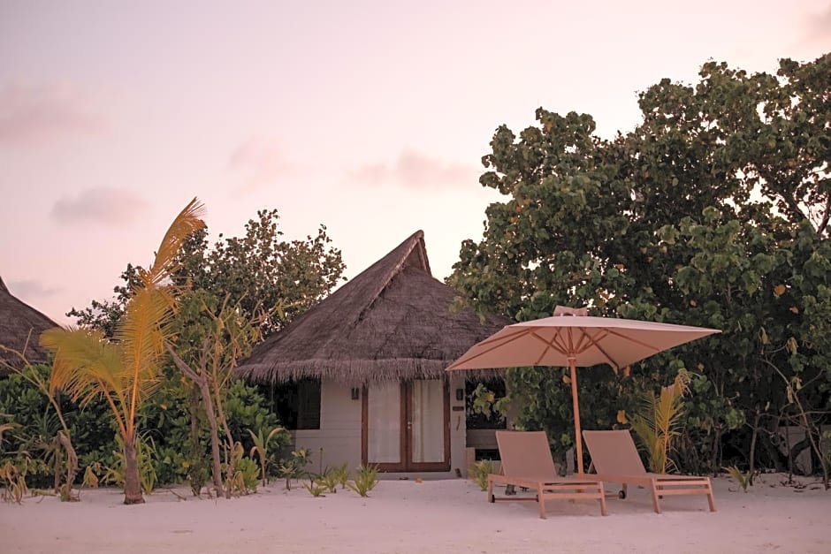 Drift Thelu Veliga Retreat