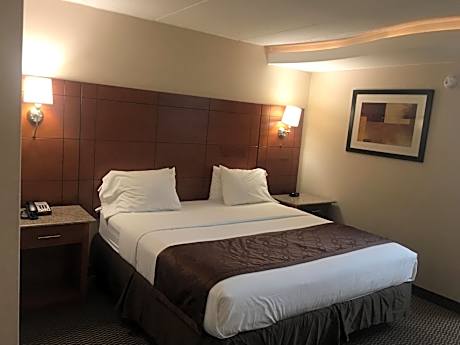 King Studio Suite - Non-Smoking