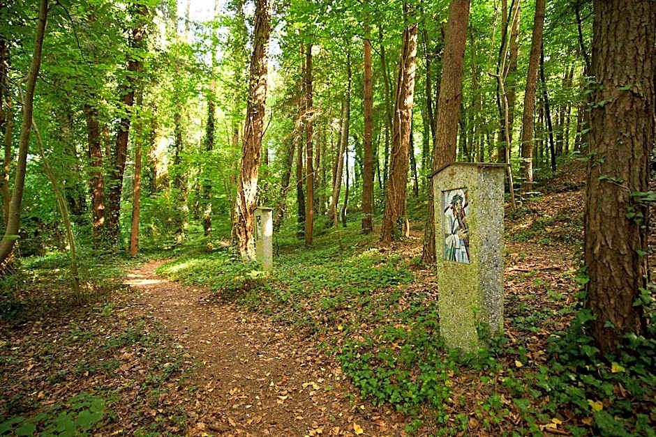 Gästehaus St Theresia Bodensee