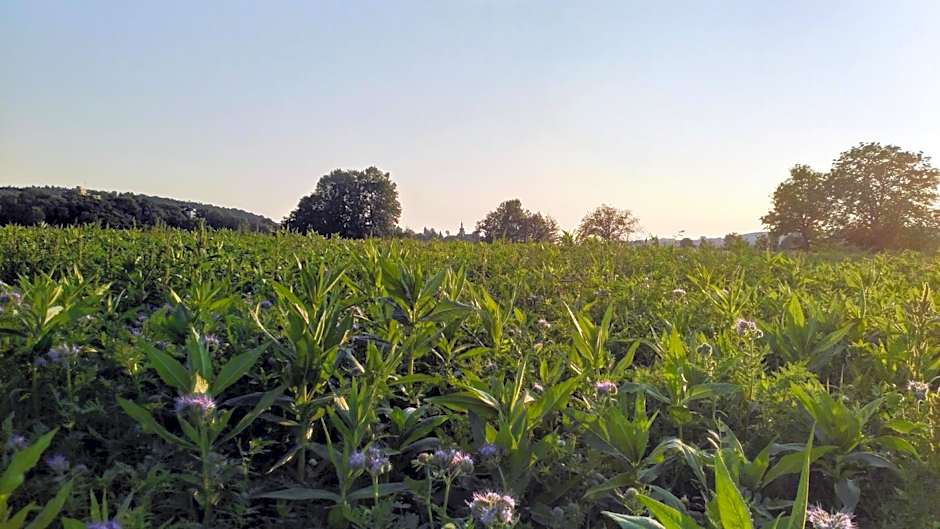 Hotel Le Lion - Self Check-in
