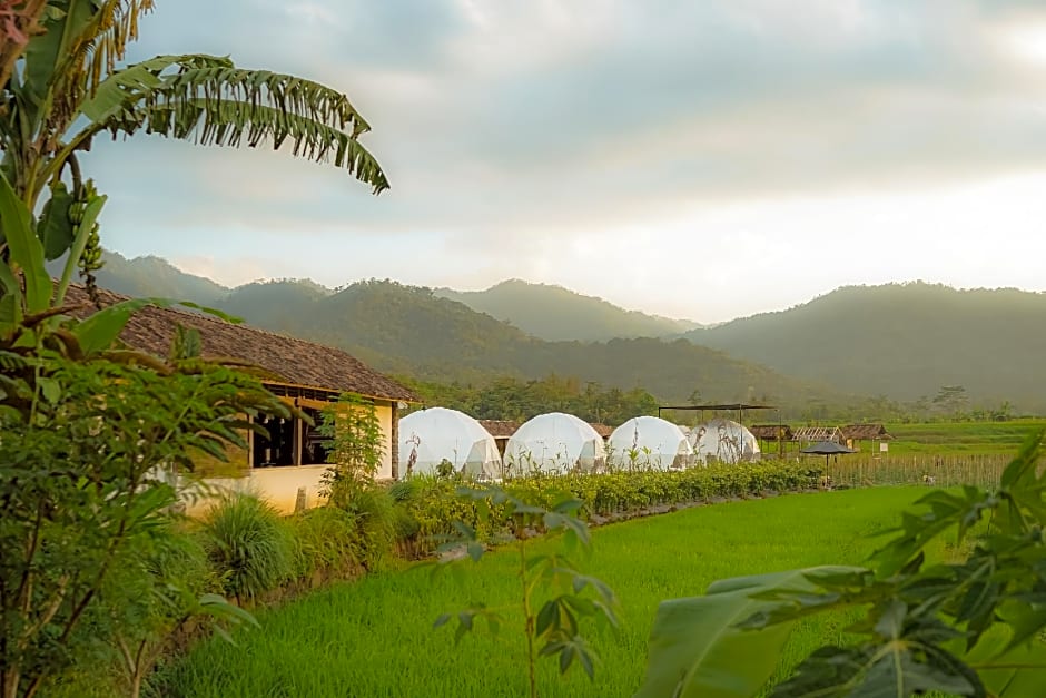 Borobudur Luxury Glamping