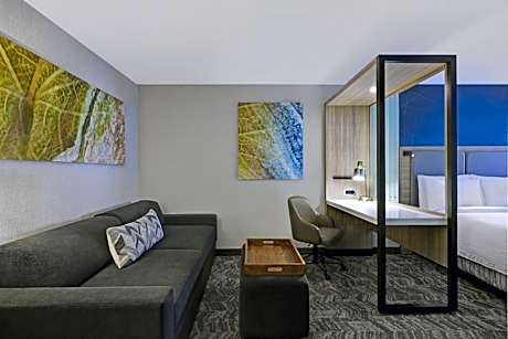 King Suite with Sofa Bed and Roll-in Shower - Mobility Accessible