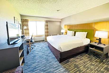 1 King Bed Non-Smoking