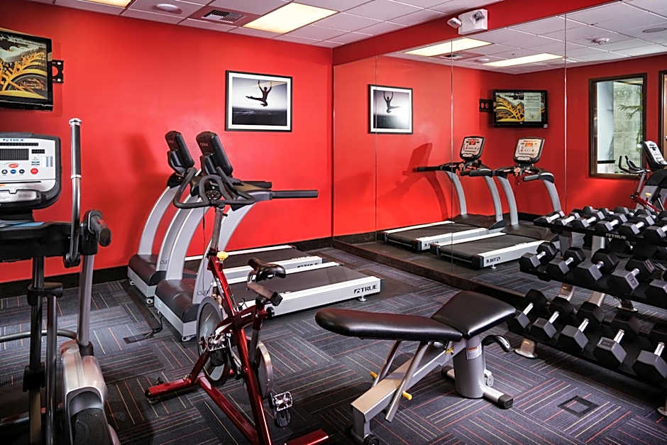 Staypineapple At The Maxwell Hotel