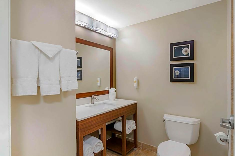 Comfort Inn & Suites Tifton