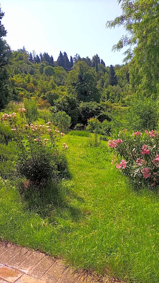 Piccolo Gesto d'Affetto