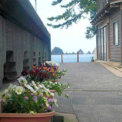 Minshuku Fujiya <Hyogo>