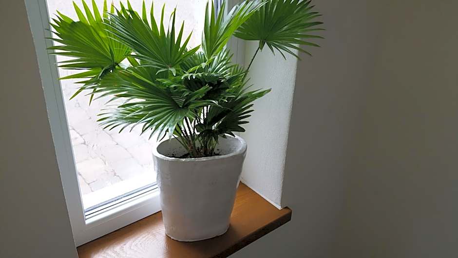 Hotel An der Altstadt