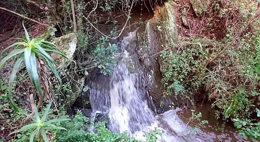 Dolphin View Guesthouse