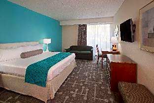 2 Queen Beds Pet-Friendly Non-Smoking