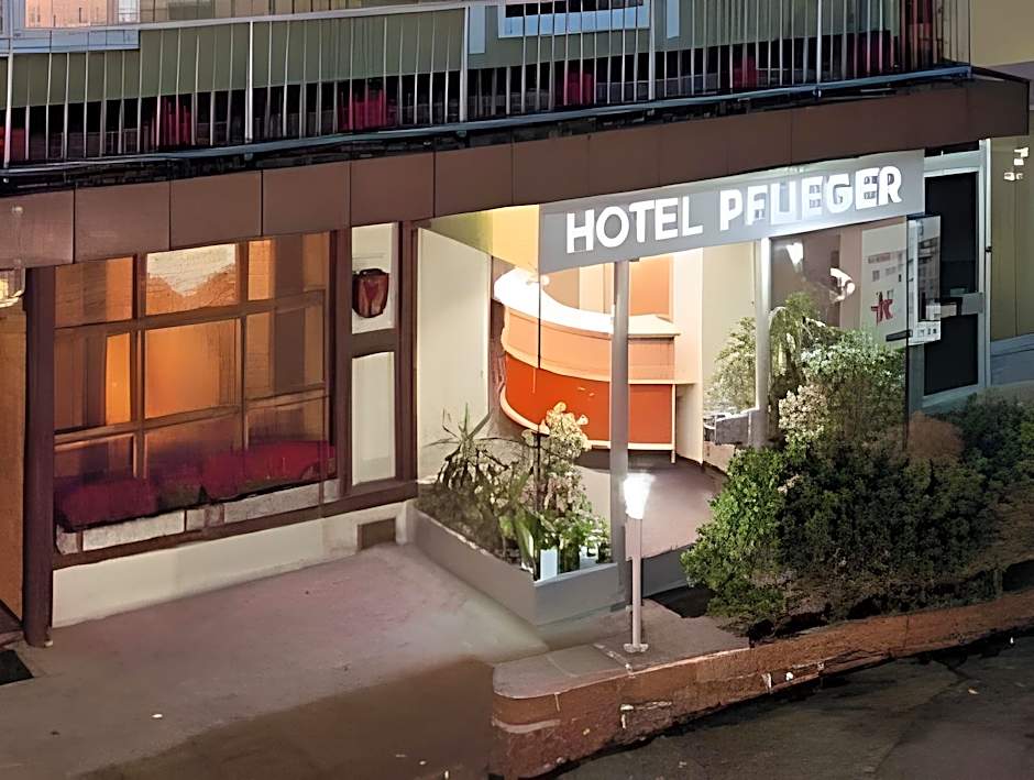Hotel Pflieger - Superior