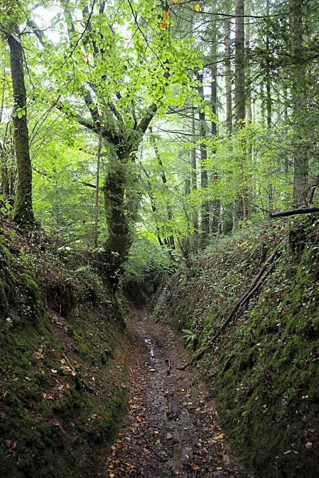 La Colline des Renards Chambres