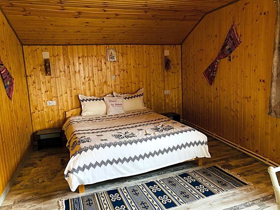 Cabana doi mesteceni