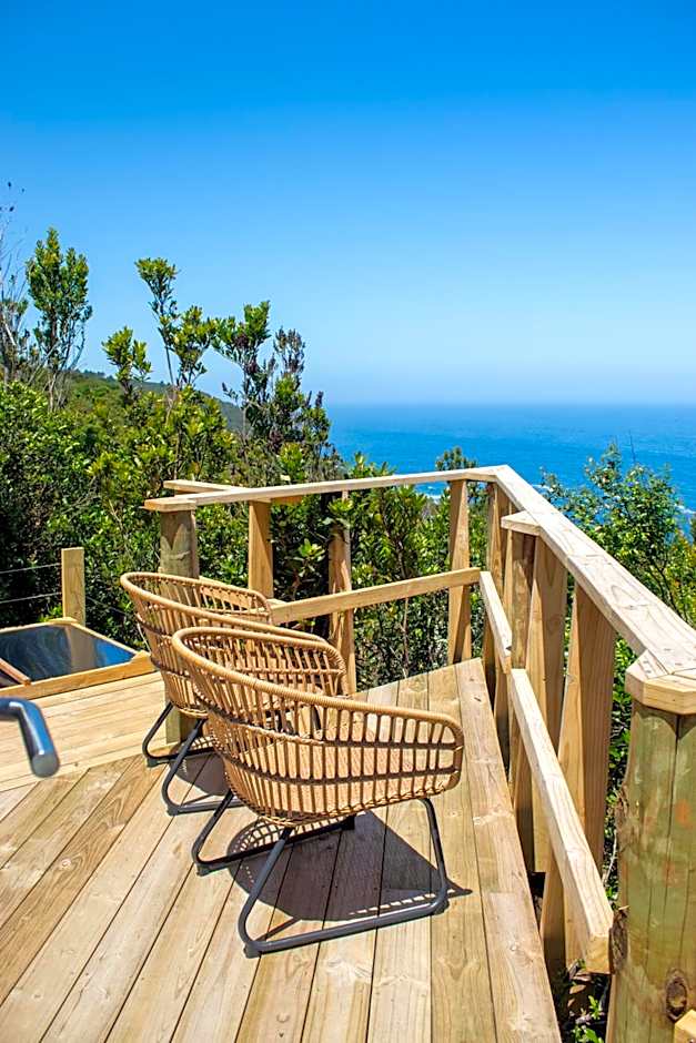 The Hive - Jungle at Misty Mountain Reserve