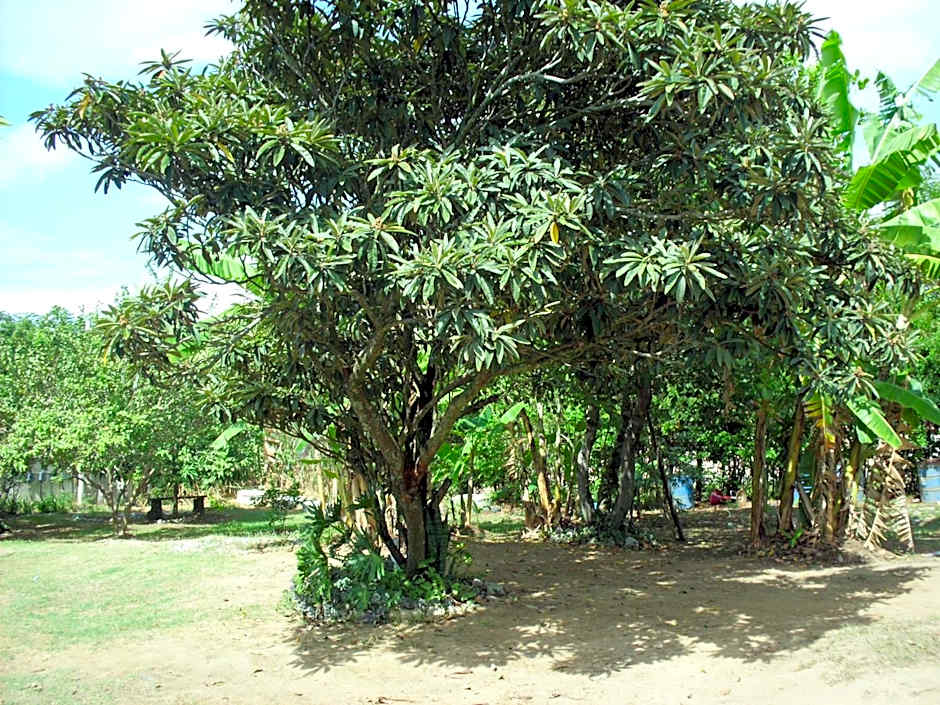 Pousada Pimenta Rosa