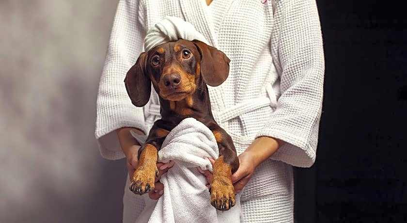 Moxy by Marriott Tbilisi