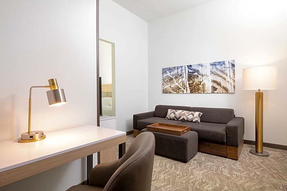 SpringHill Suites by Marriott Williamsburg