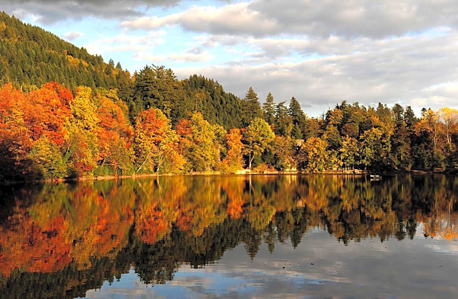 Sapia Hotel Rheinsberg