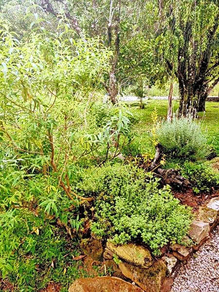 Ninho das Águias Cabana