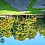 Hotel am Wasen