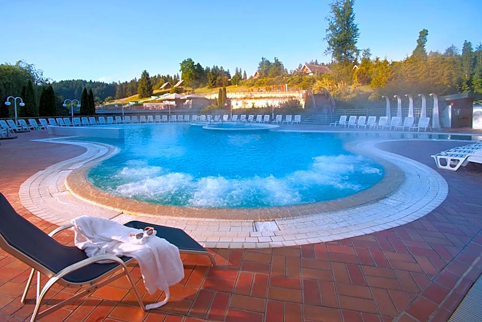 Terme Topolsica - Hotel Vesna