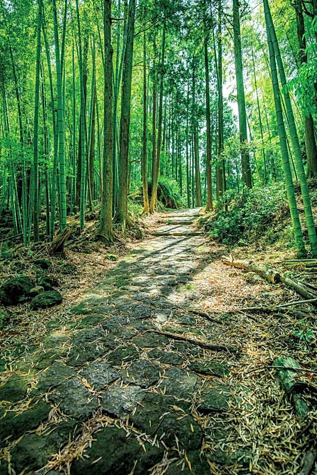 Oninosanpomichi