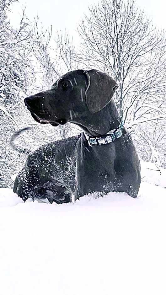 Balneum Boutique Hotel & B&B