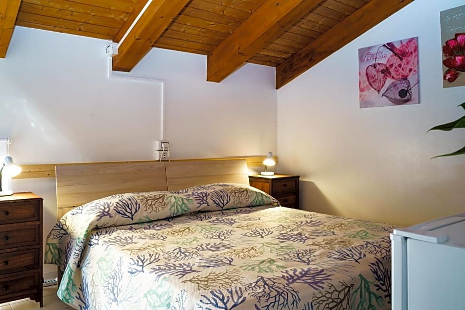 Sansi´s Sapri Camere