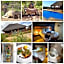 Klein Karoo Game Lodge