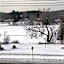 Silver Maple Motel