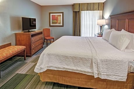 1 King Bed 1 Bdrm Suite with Whirlpool Nonsmok