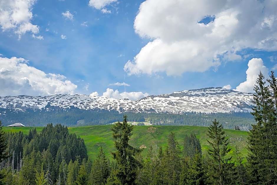 Bergwelten Salwideli
