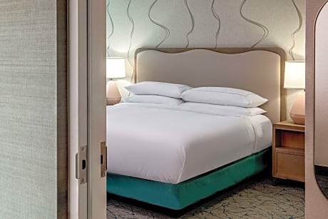 1 King Bed Jr Suite Mobility Access Ri Shower