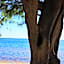 Xcalak Caribe Lodge