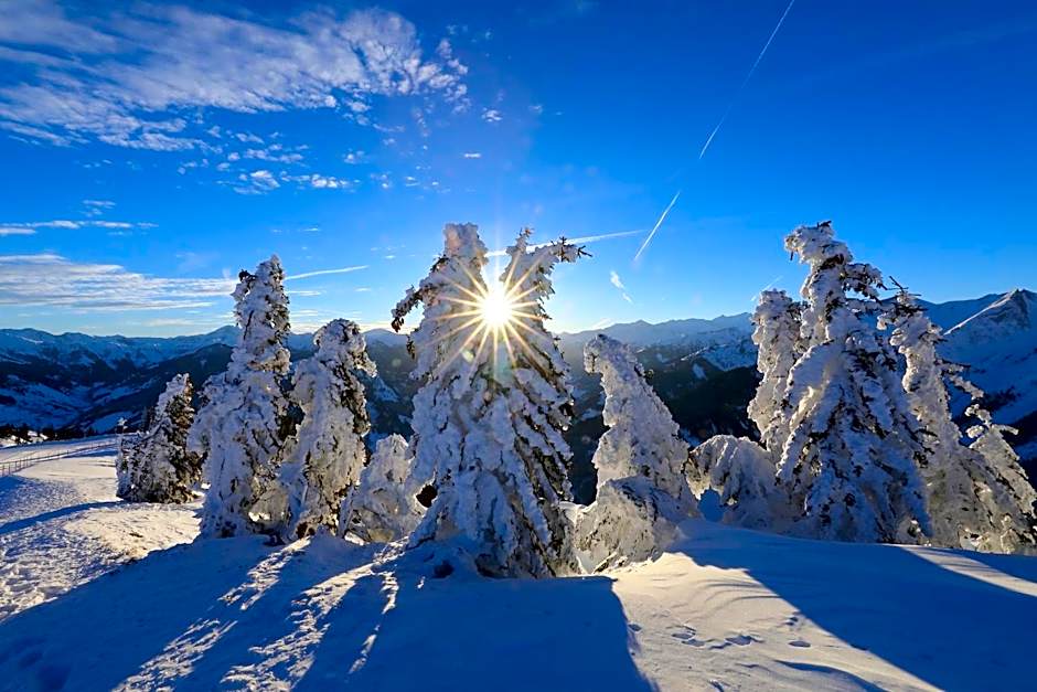 Appartements KATHRIN